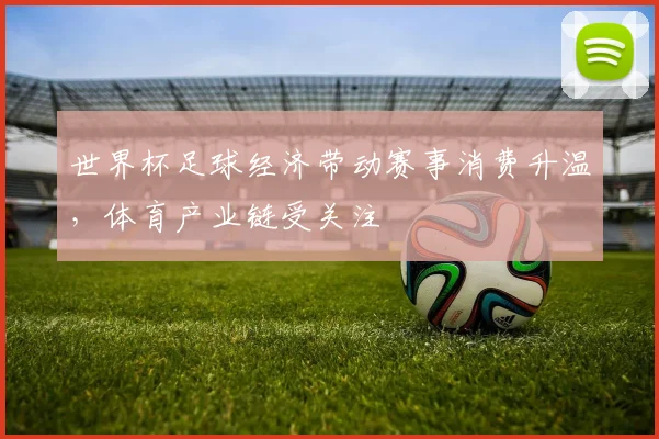 世界杯足球经济带动赛事消费升温，体育产业链受关注