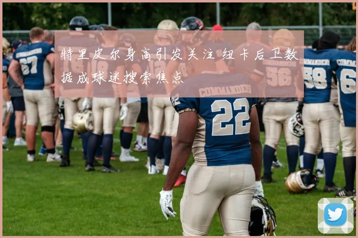 特里皮尔身高引发关注 纽卡后卫数据成球迷搜索焦点