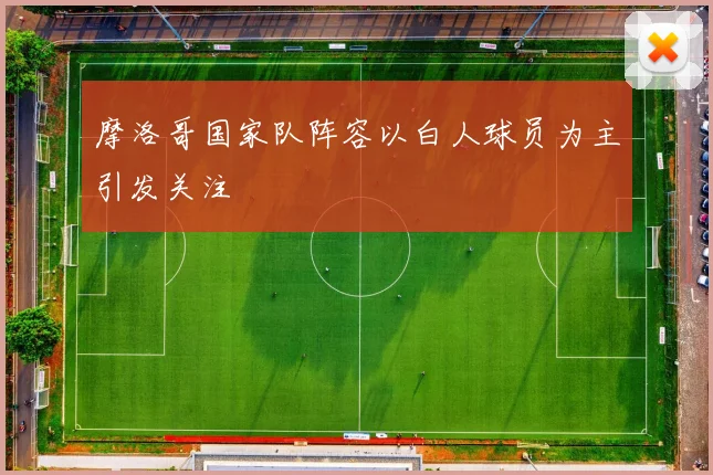 摩洛哥国家队阵容以白人球员为主引发关注